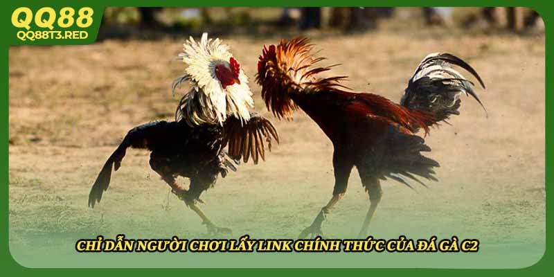 Chỉ dẫn người chơi lấy link chính thức của đá gà C2