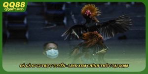 Đá Gà 67 C2 Trực Tuyến - Link Xem Chính Thức Tại QQ88